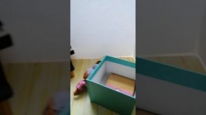 делаем терьер самодельной комнаты с куклами лол. 😀❤️
