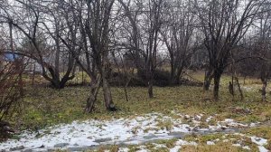 Поздняя осень...