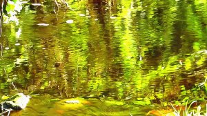 Игра отражений