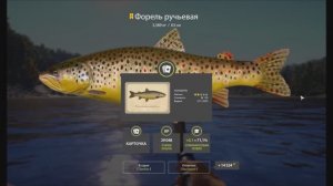 Рыбы с карточками в игре Русская рыбалка 4, Форель ручьевая, трофей на реке Нижняя Тунгуска