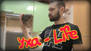 Готовлю уху