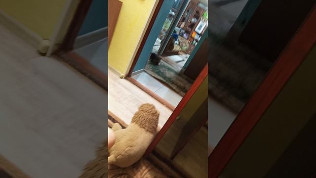 бежим с Лютиком смотреть онлайн