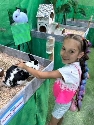 супер Настя