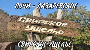 СОЧИ СВИРСКОЕ УЩЕЛЬЕ В ЛАЗАРЕВСКОМ НОЯБРЬ 2025