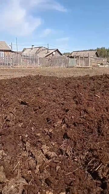 Т25 с самодельной фрезой  перемалываю навоз  перегной для фасовки в мешки .