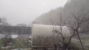 Настоящая снежная буря 15.11.25