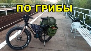 По грибы