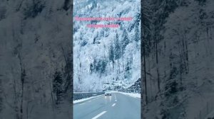 Любовь же тоже умирает