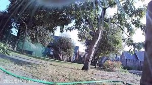 день кота Юги