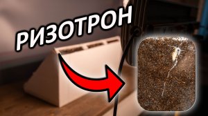 Ризотрон своими руками: как на самом деле растут корни огурцов и работает тропизм