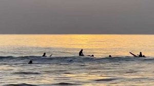 Серферы в Сочи собираются на городских пляжах