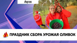 ПРАЗДНИК СБОРА УРОЖАЯ ОЛИВОК