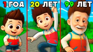 РАЙДЕР ЩЕНЯЧИЙ ПАТРУЛЬ СТАЛ СТАРЫМ В МАЙНКРАФТЕ