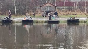 Светлые Горы Форель6 22.11.2025г.