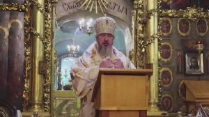 Слово митрополита Савватия об исцеление бесноватого 09.11.2025