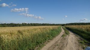 Русское поле