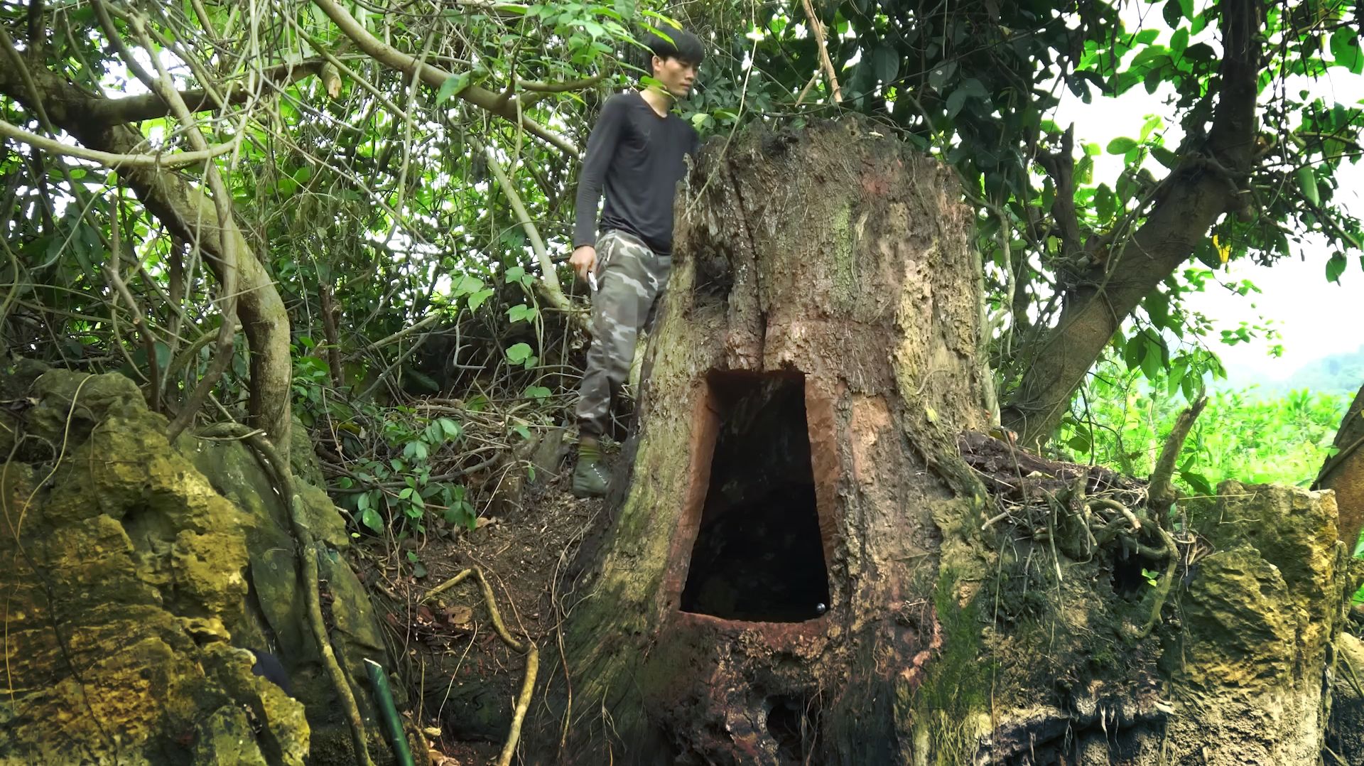 Строю секретное убежище глубоко внутри большого дерева с печкой. Ужин на природе. Бушкрафт