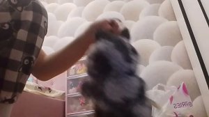 лабубу смешная и любовная анимация 4 часть