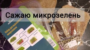 🥦Сажаю микрозелень. Какой-то затык произошел с конструкцией 🤦