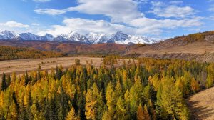 Восхитительное Рандеву с Горным Алтаем. Горы, золотая осень, бирюза