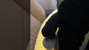 Приключения камерамен серия 1