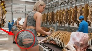 Внутри фабрики по производству кожи тигра: от шкуры тигра до роскошной куртки Полный процесс