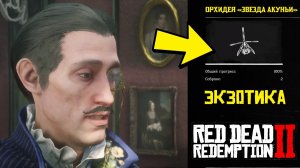 ЭКЗОТИКА - Все 3 орхидеи Звезда Акуньи в RDR 2