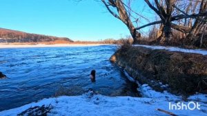 23 ноября 2025 г