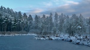 Голубое озеро. Прогулка по Зелёному городу. Нижний Новгород. 23.11.2025
