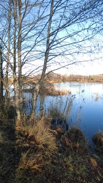 Осень смотреть онлайн