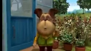 пуп борбоскины