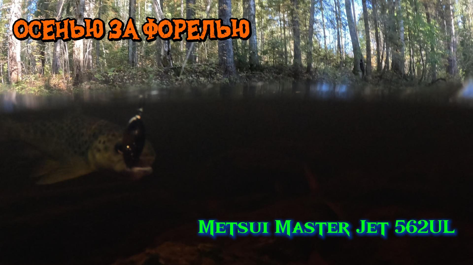 Осенью за форелью. Спиннинг Metsui Master Jet 562UL