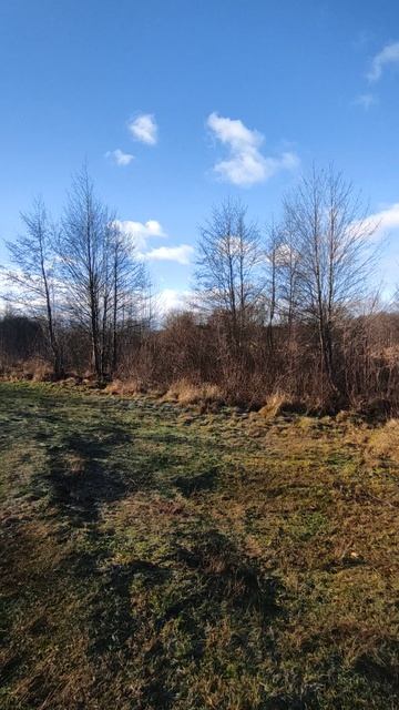 Осень смотреть онлайн