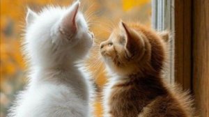 добрым людям добрый день - желаю доброго дня