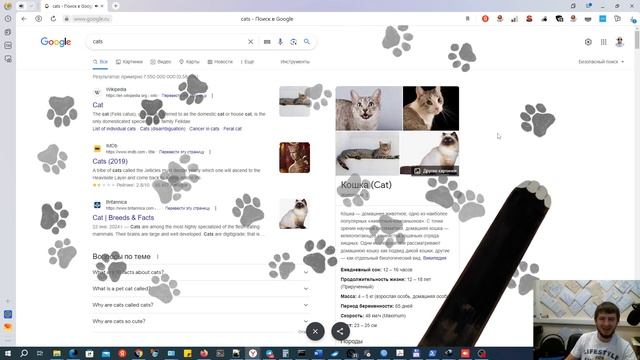 #Google Easter Eggs - #пасхалка от гугла с кошками | как довести коллегу по работе до истерики смотреть онлайн