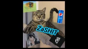 ZaShit Лови улучшенную аву