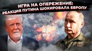 Зоопарк западной дипломатии: как «мирные» планы Трампа довели Европу до истерики