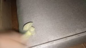 Сборка диван книжка