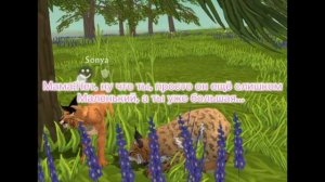 Мини фильм Wildcraft "Война между братом и сестрой" 3 серия