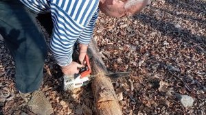 Заготовка валежника для костра