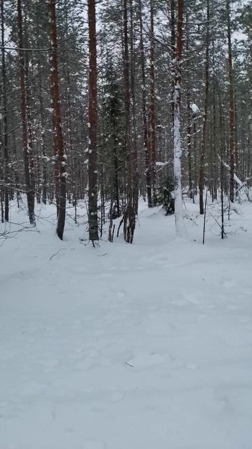 Наткнулся на избу возле болота смотреть онлайн