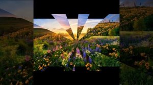 Кто мне радость даст?” —
Я в скорбях взывал.