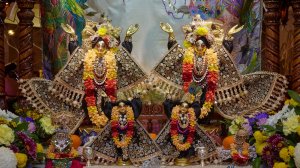 23.11.25 (18:00) - Воскресная программа - Гаура-арати и киртан