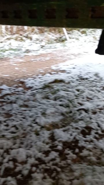 Обзор самодельного прицепа от мотоблока смотреть онлайн