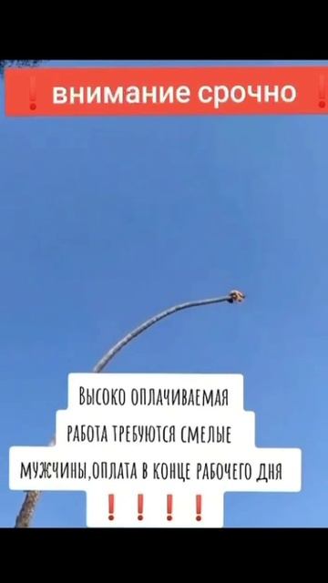 Высокая зарплата