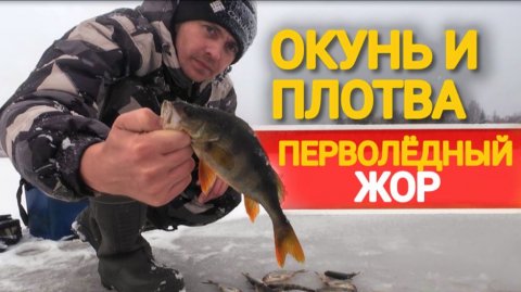 Вся рыба в одной лунке. Первый лёд радует хорошим уловом.