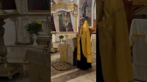 23.11.2025 - О чтении Псалтири в Рождественский пост; прот.Николай Цирке