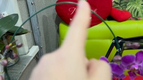 Расстаюсь с орхидеями