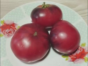 Каталог томатов - Новинок 2025 года. Часть 3. г. Киров  т. 89229284031