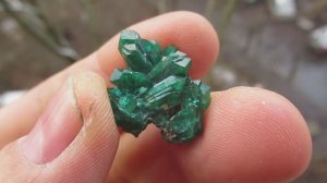 Диопатаз купить